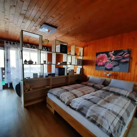 Appartement Snezak 2