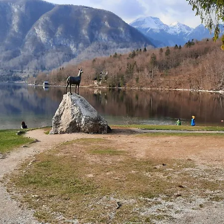 Apartmán Snezak 2 *