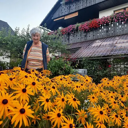 Snezak 2 Bohinj