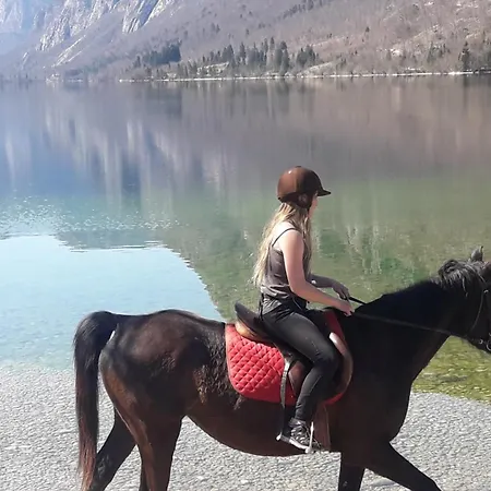 Appartement Snezak 2 *