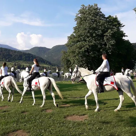 Lägenhet Snezak 2 *