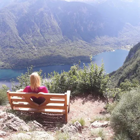 Snezak 2 Apartmán Bohinj