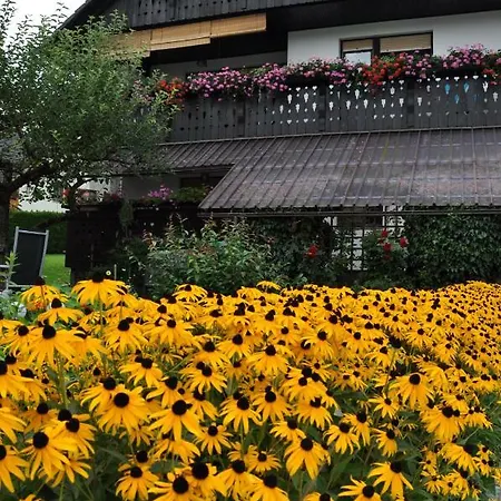 Snezak 2 Lägenhet *