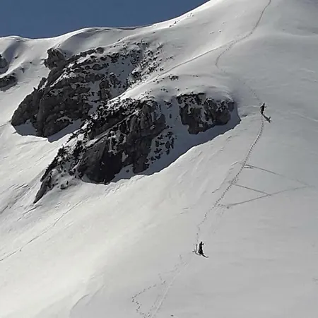 Snezak 2 ボーヒニ