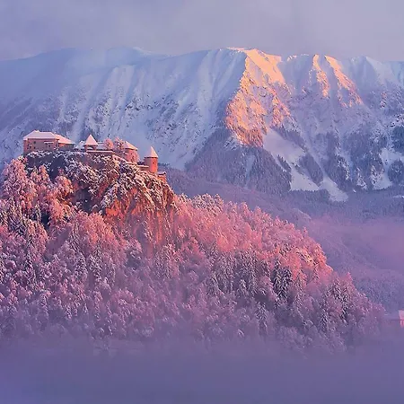 Snezak 2 アパート