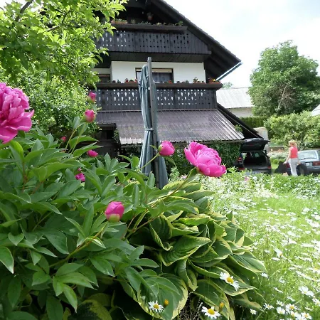 Snezak 2 * Bohinj