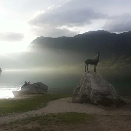 Snezak 2 * Bohinj