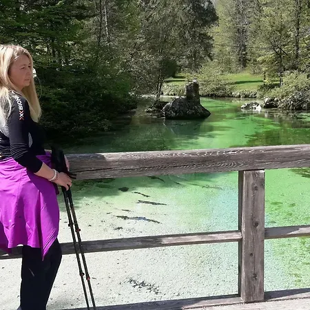 Snezak 2 * Bohinj