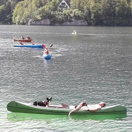 Snezak 2 Bohinj