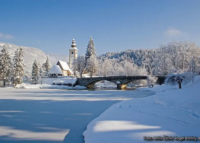 Snezak 2 Apartment Bohinj